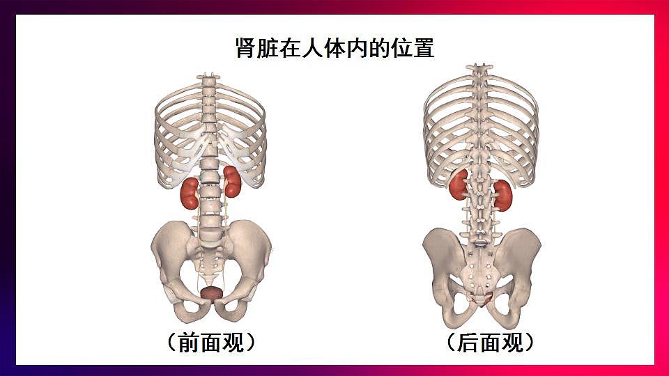17868332第5页