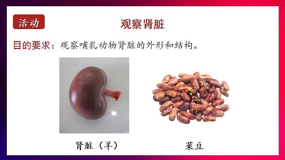 17868332第6页