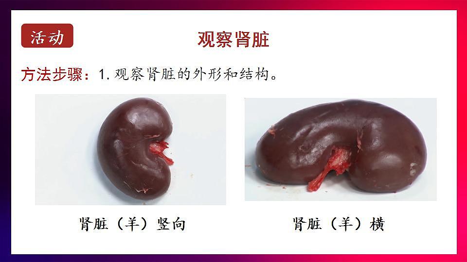 17868332第7页
