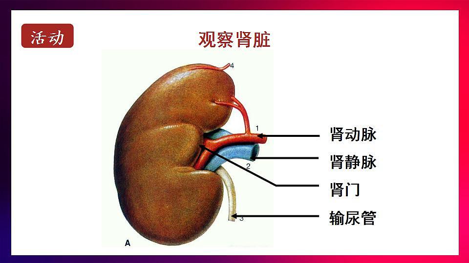 17868332第8页