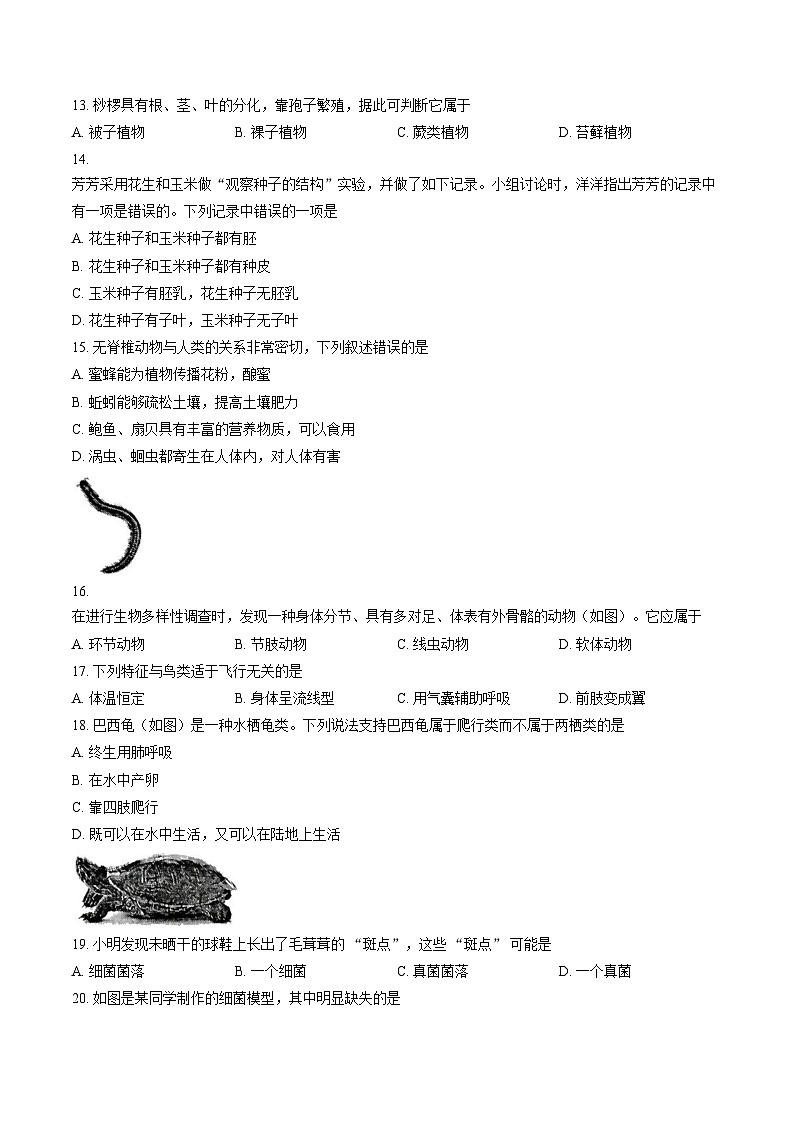 湖南省娄底市2025_2026学年七年级上学期1月期末生物试题（文字版，含答案）第3页