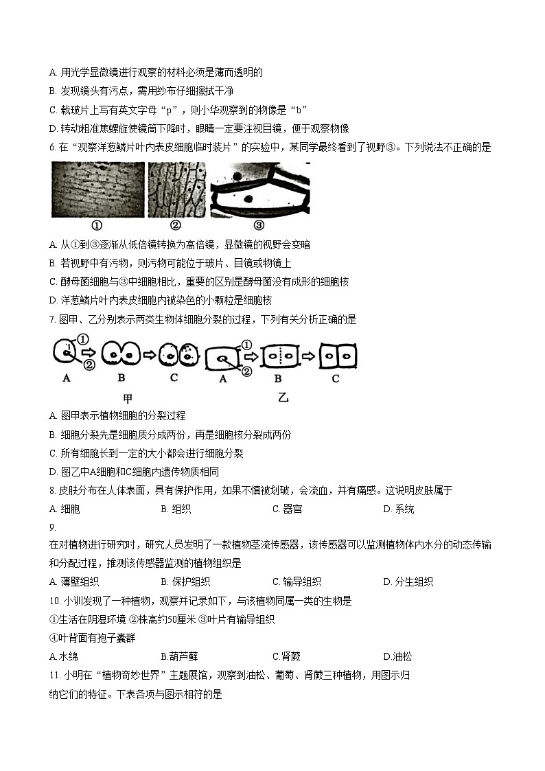 山东省济宁市梁山县2025__2026学年七年级上学期期末生物试题（文字版，含答案）第2页