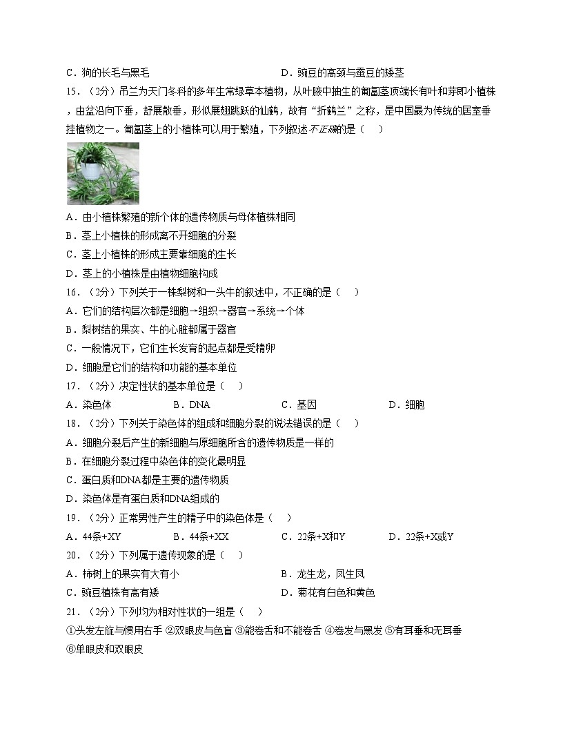 山东省临沂市费县第五中学2025_2026学年八年级上学期第二次月考生物试题（文字版，含答案）第3页