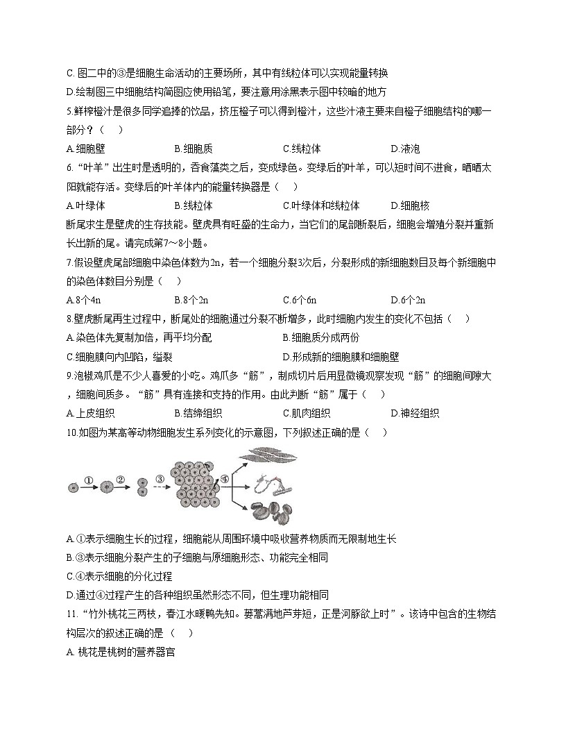 河南省驻马店市汝南县双语学校、清华园学校2025_2026学年七年级上学期12月月考生物试题（文字版，含答案）第2页