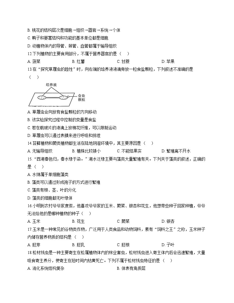 河南省驻马店市汝南县双语学校、清华园学校2025_2026学年七年级上学期12月月考生物试题（文字版，含答案）第3页