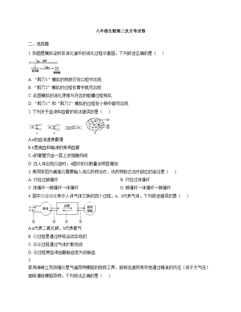 江苏省徐州市邳州市邳城镇泇口中学2025_2026学年八年级上学期12月月考生物试题（文字版，含答案）第1页