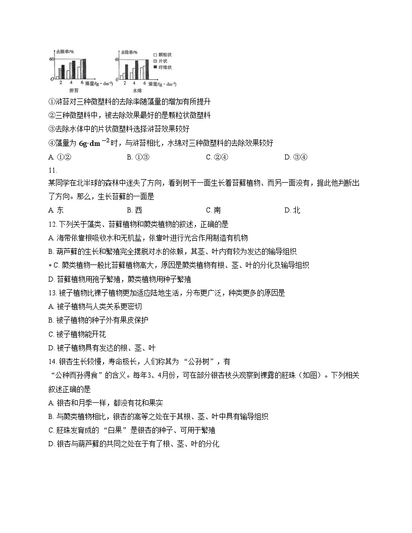 河北省邢台市2025_2026学年七年级上学期12月月考生物试题（文字版，含答案）第3页