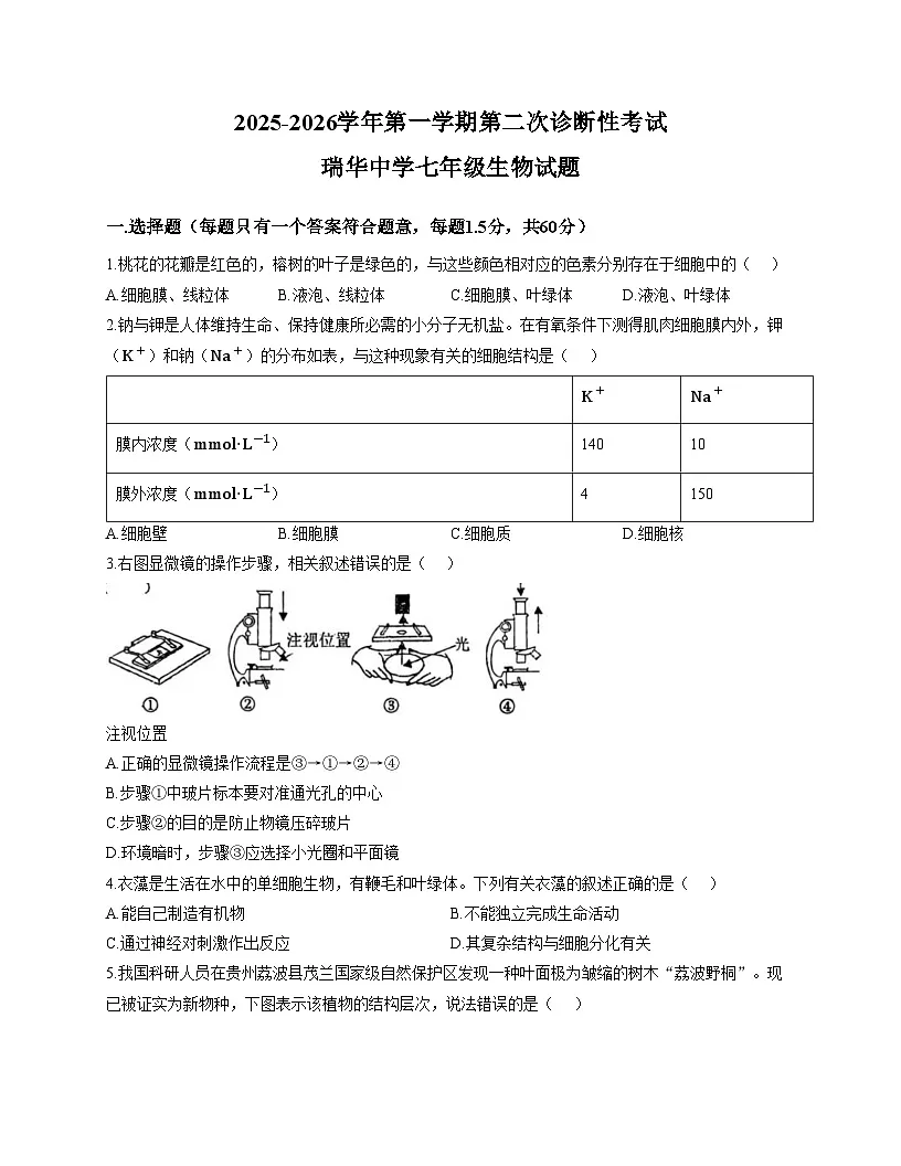 山东省青岛市胶州市瑞华实验初级中学2025_2026学年七年级上学期12月月考生物试题(文字版含答案)第1页