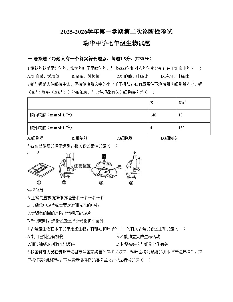 山东省青岛市胶州市瑞华实验初级中学2025_2026学年七年级上学期12月月考生物试题(文字版含答案)第1页