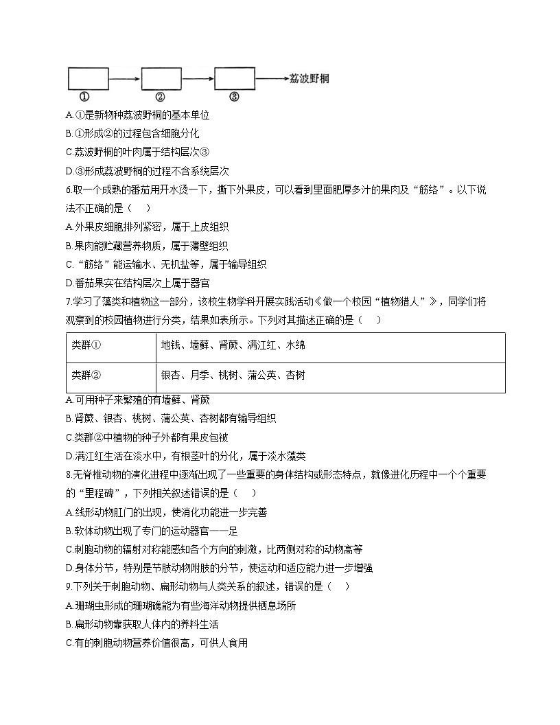 山东省青岛市胶州市瑞华实验初级中学2025_2026学年七年级上学期12月月考生物试题(文字版含答案)第2页