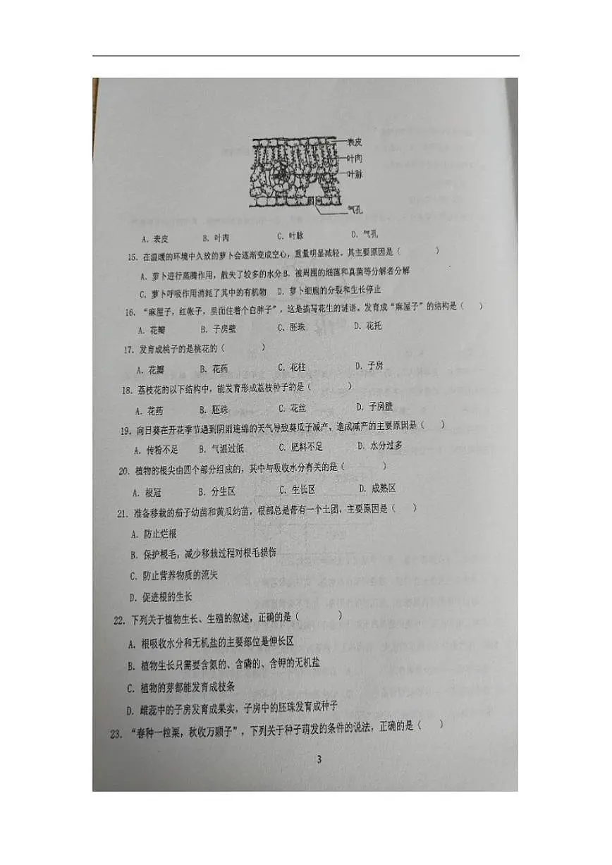 山东省青岛市胶州市洋河中学2024-2025学年七年级下学期3月月考生物试题（含答案）第3页