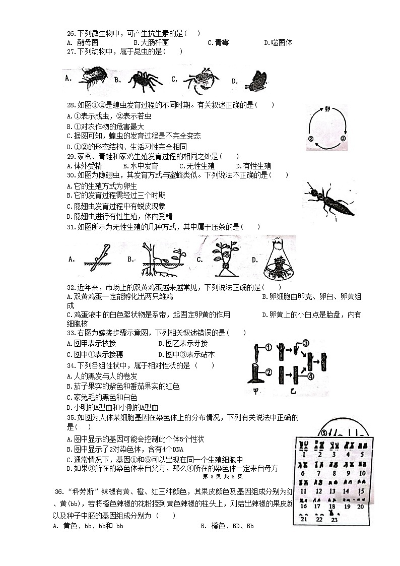广东省揭阳市惠来县第一中学2024-2025学年八年级上学期1月期末生物试题-A4第3页