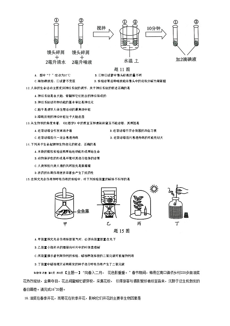 2025年广东省梅州市初中学业水平模拟考试生物试卷-A4第3页