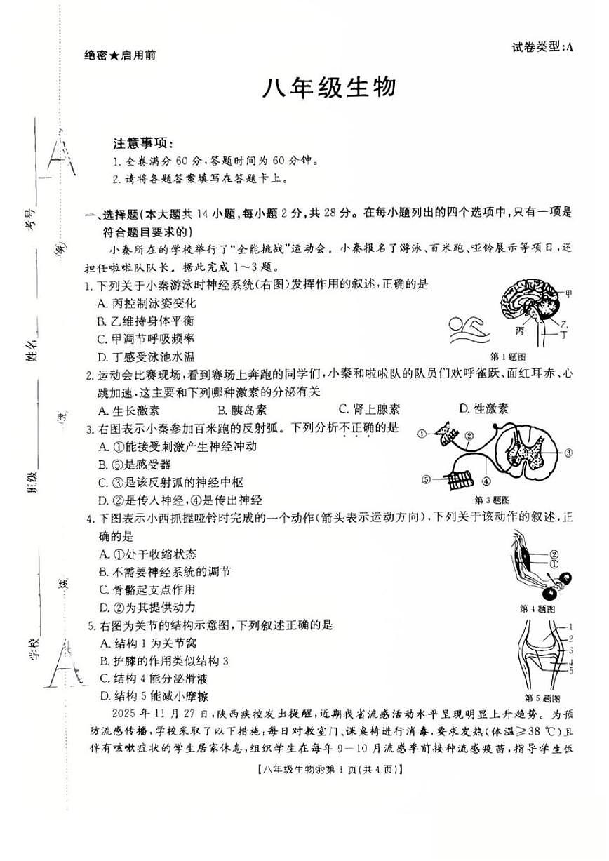 2025-2026学年陕西省西安市多校联考八年级上学期1月期末考试生物试卷（含答案）第1页