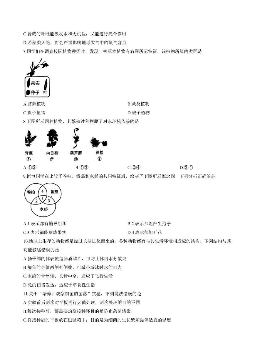 2025-2026学年山东省枣庄滕州市上学期期末七年级生物试卷（含答案）第2页
