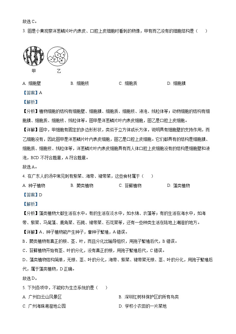 广东省广州市番禺区七年级上学期期末生物试题（解析版）-A4第2页