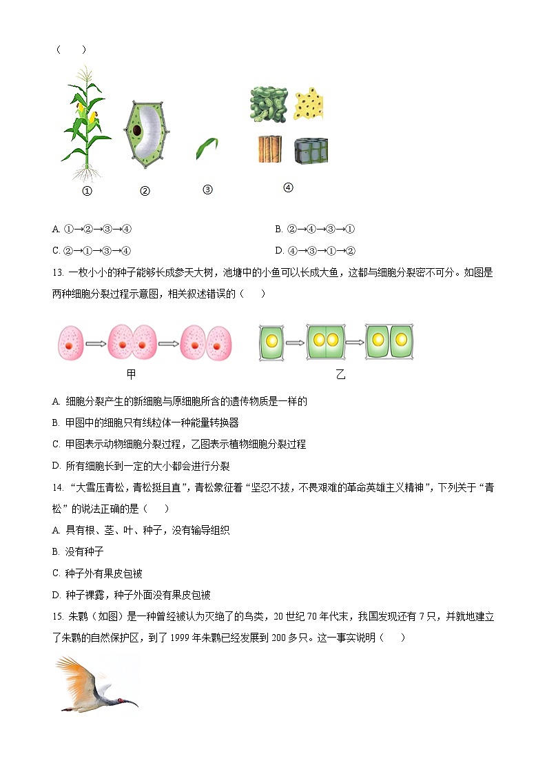 广东省肇庆市高新区七年级上学期期末生物试题（原卷版）-A4第3页