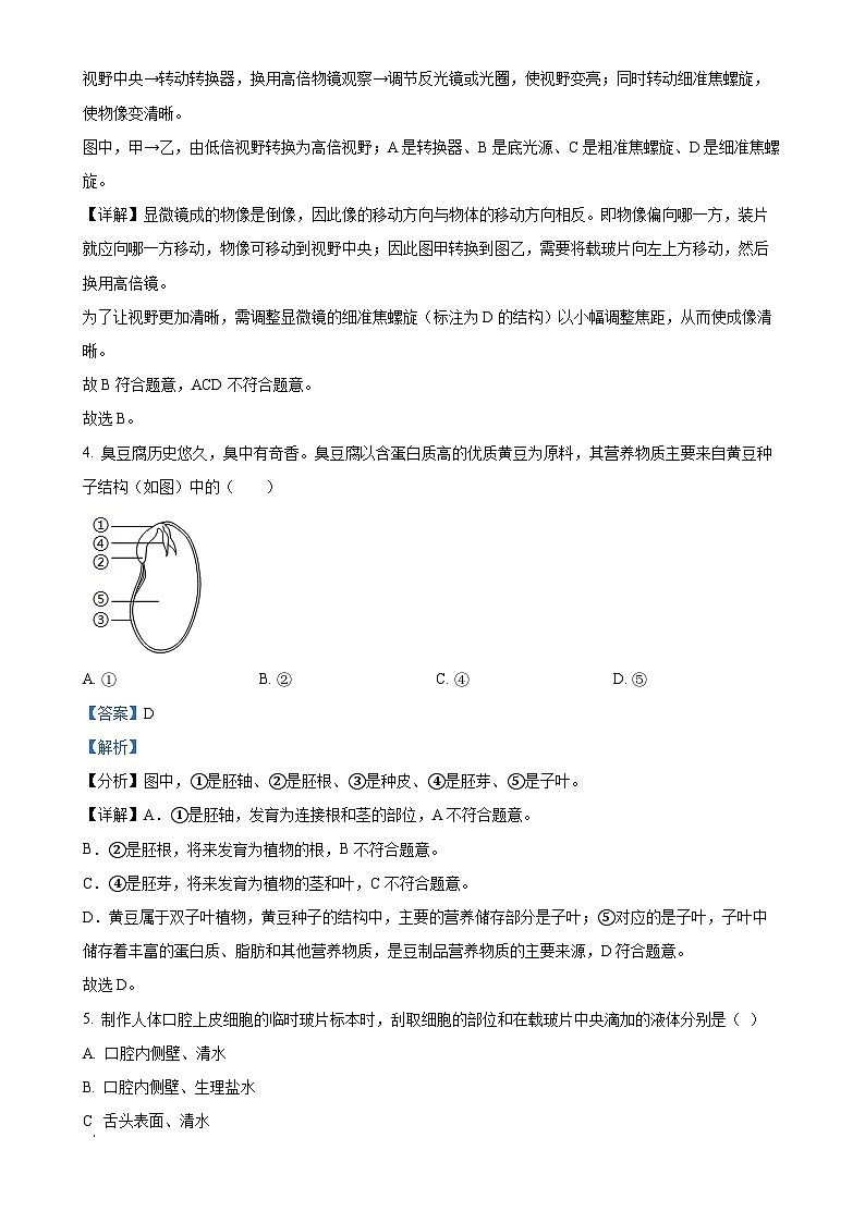 广东省阳江市七年级上学期期末生物试题（解析版）-A4第3页