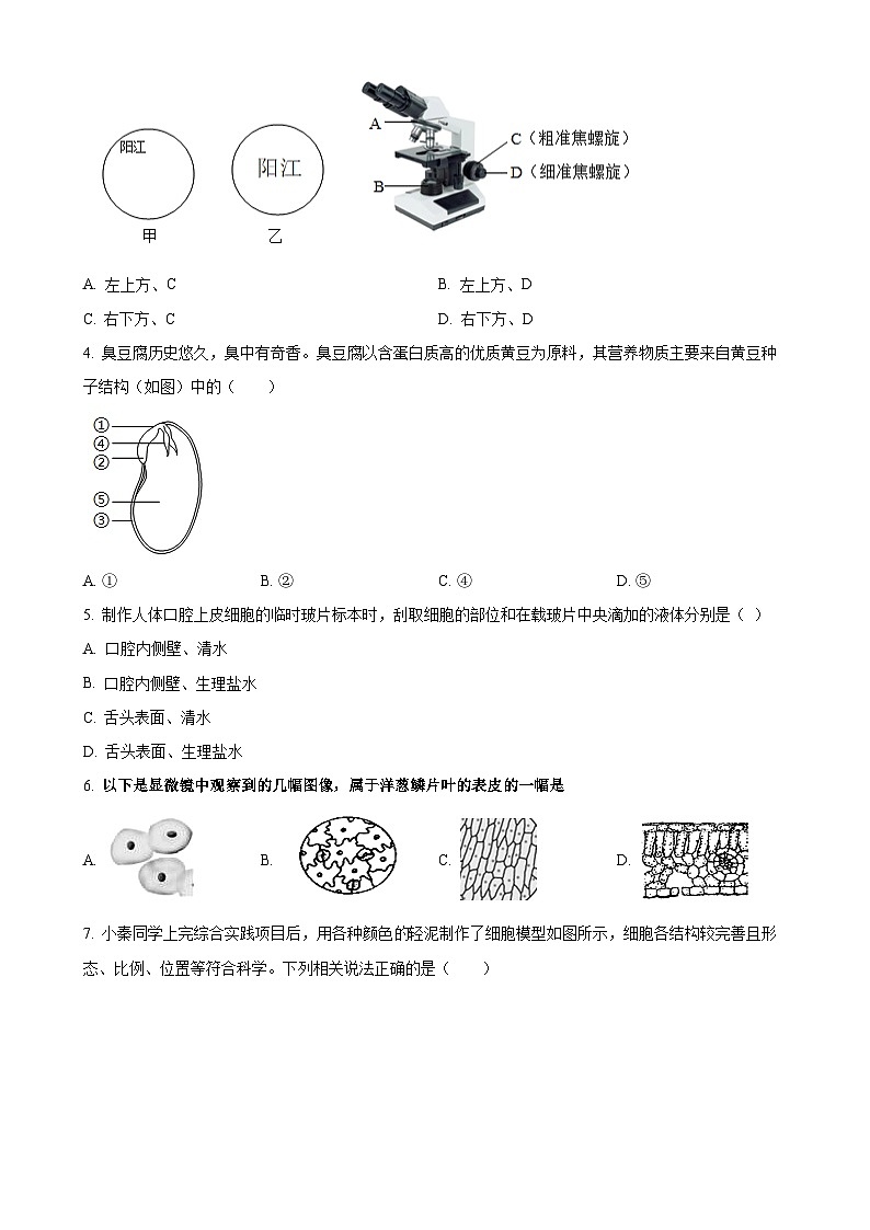 广东省阳江市七年级上学期期末生物试题（原卷版）-A4第2页