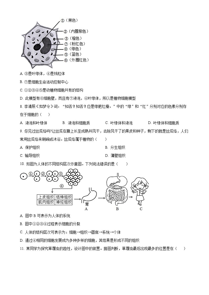 广东省阳江市七年级上学期期末生物试题（原卷版）-A4第3页