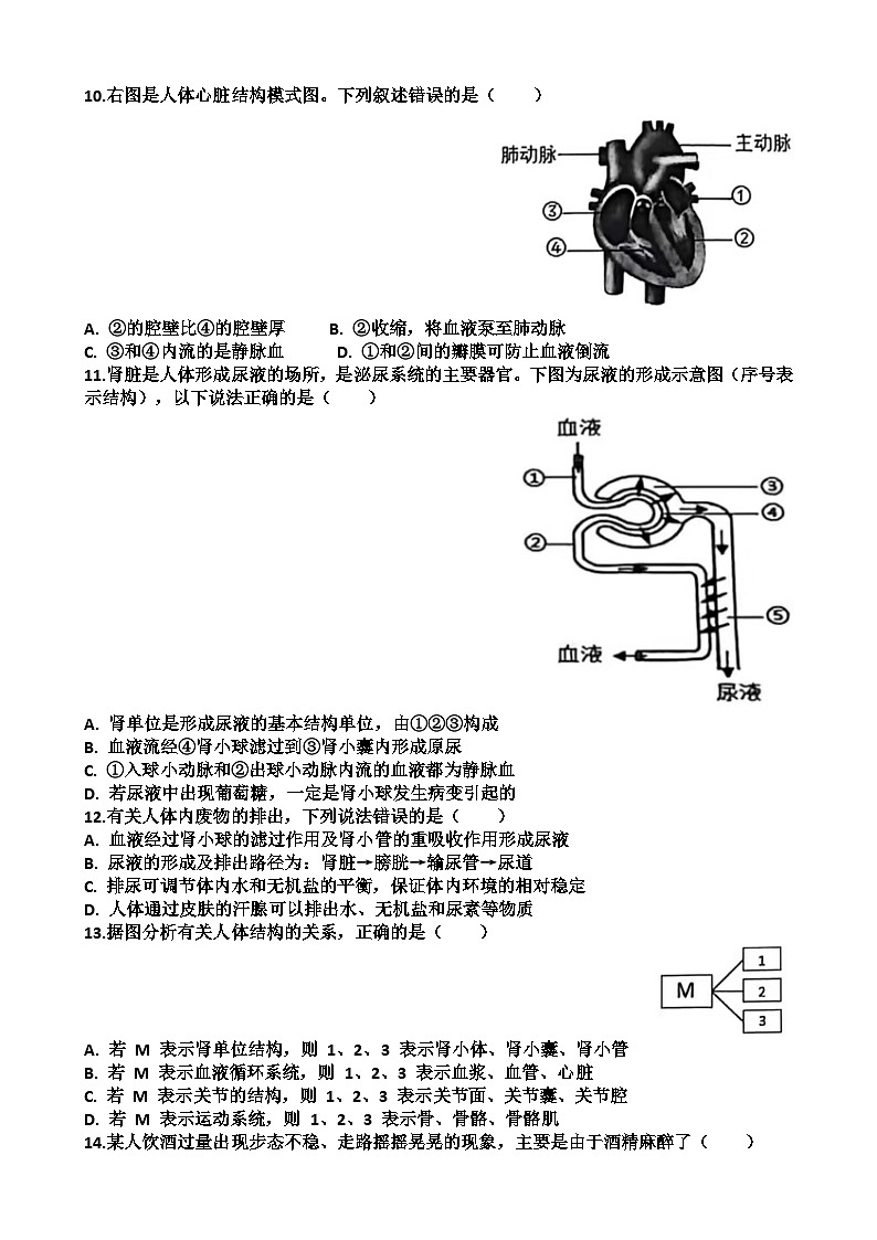 2025~2026学年济南市天桥区八年级第一学期生物期末考试试题以及答案第3页