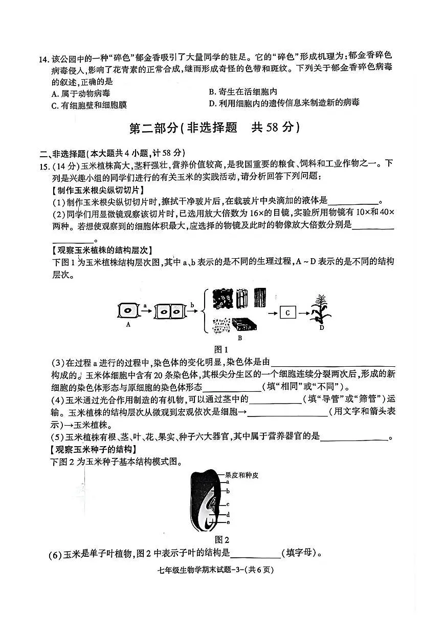 陕西省咸阳市秦都区2025-2026学年七年级上学期1月期末生物试题第3页
