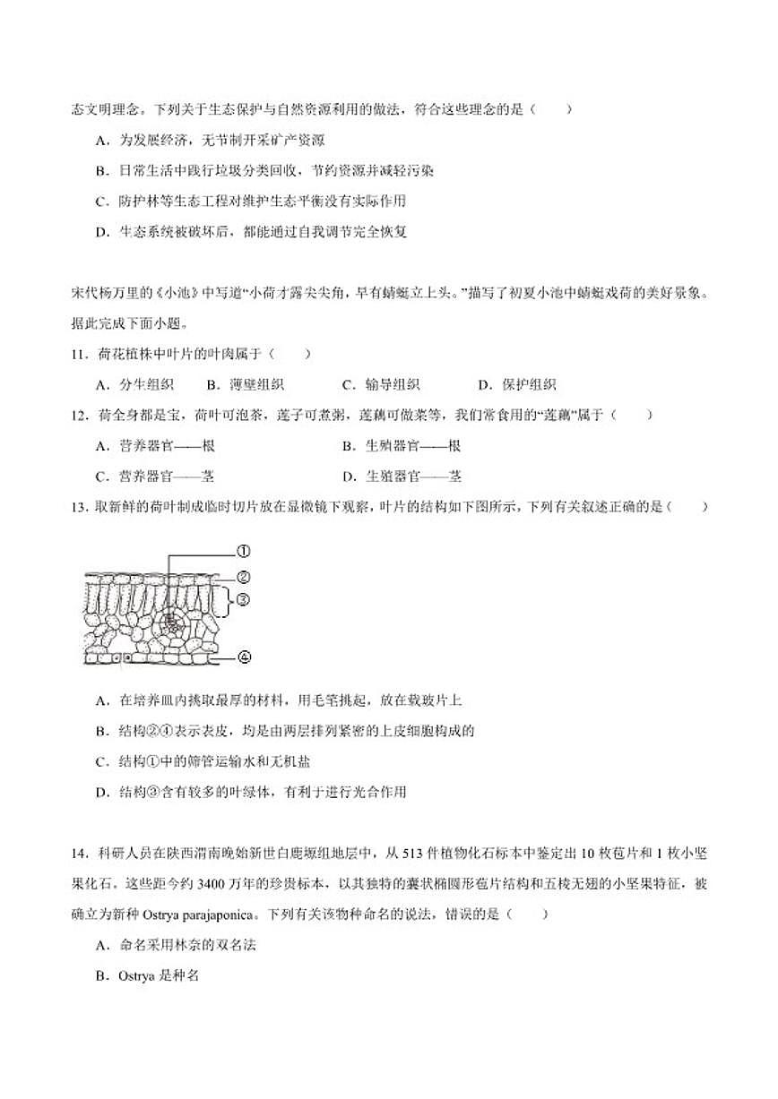 2025-2026学年陕西省渭南市临渭区七年级上学期期末考试生物试卷（含答案）第3页