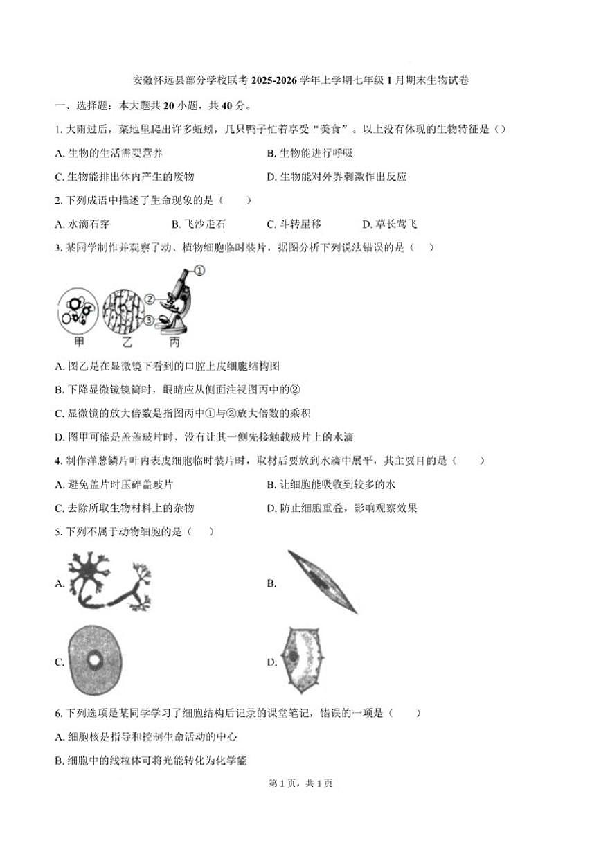 2025-2026学年安徽省蚌埠市怀远县部分学校七年级上学期1月期末考试生物试卷（含答案）第1页