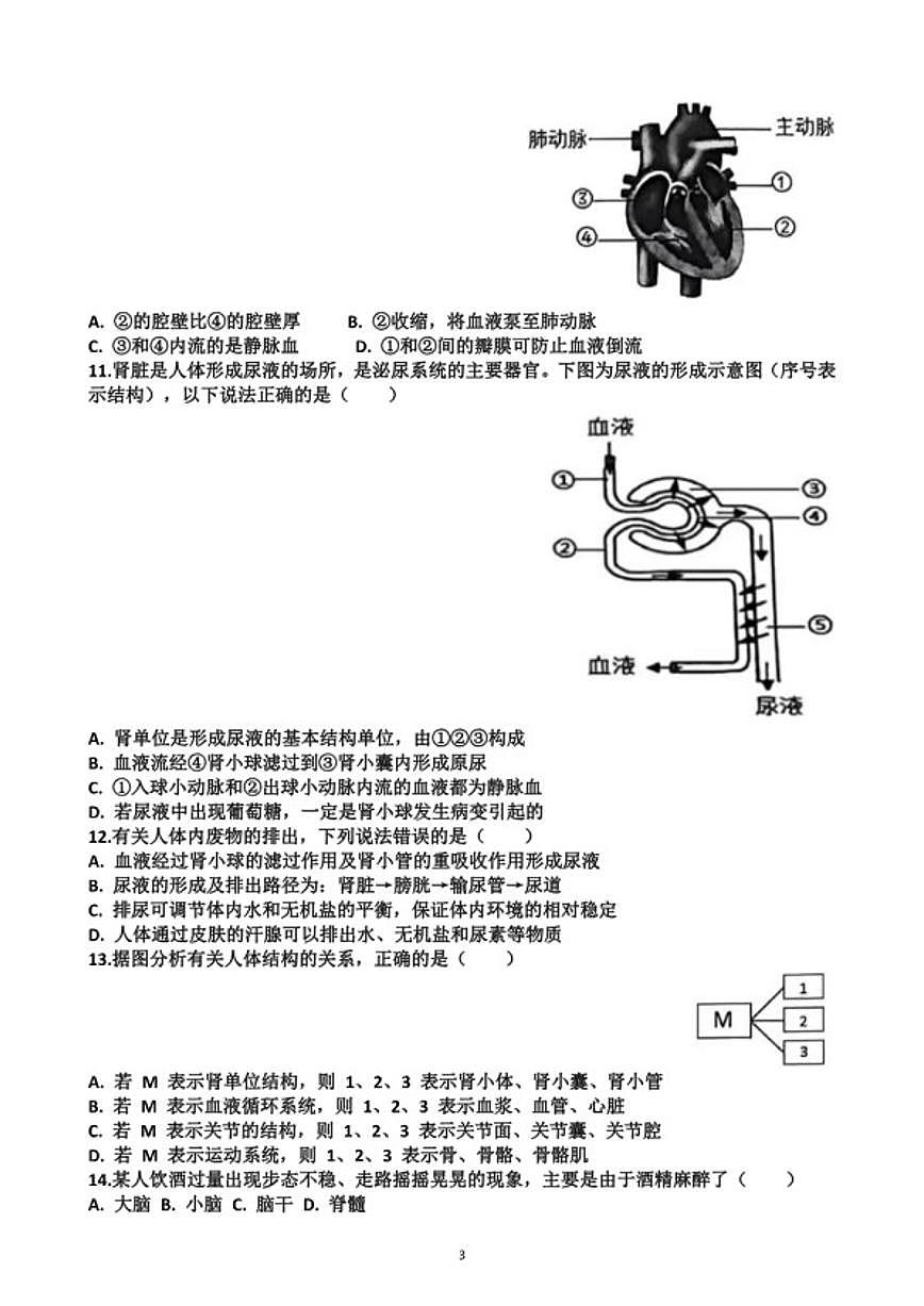 2025~2026学年山东省济南市天桥区八年级第一学期生物期末考试试题（含答案）第3页