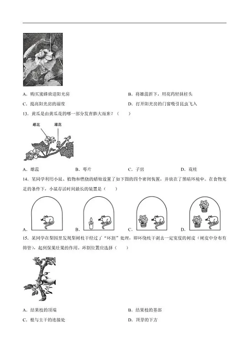 2025-2026学年河北省保定市莲池区八年级上学期1月期末生物试题（含答案）第3页
