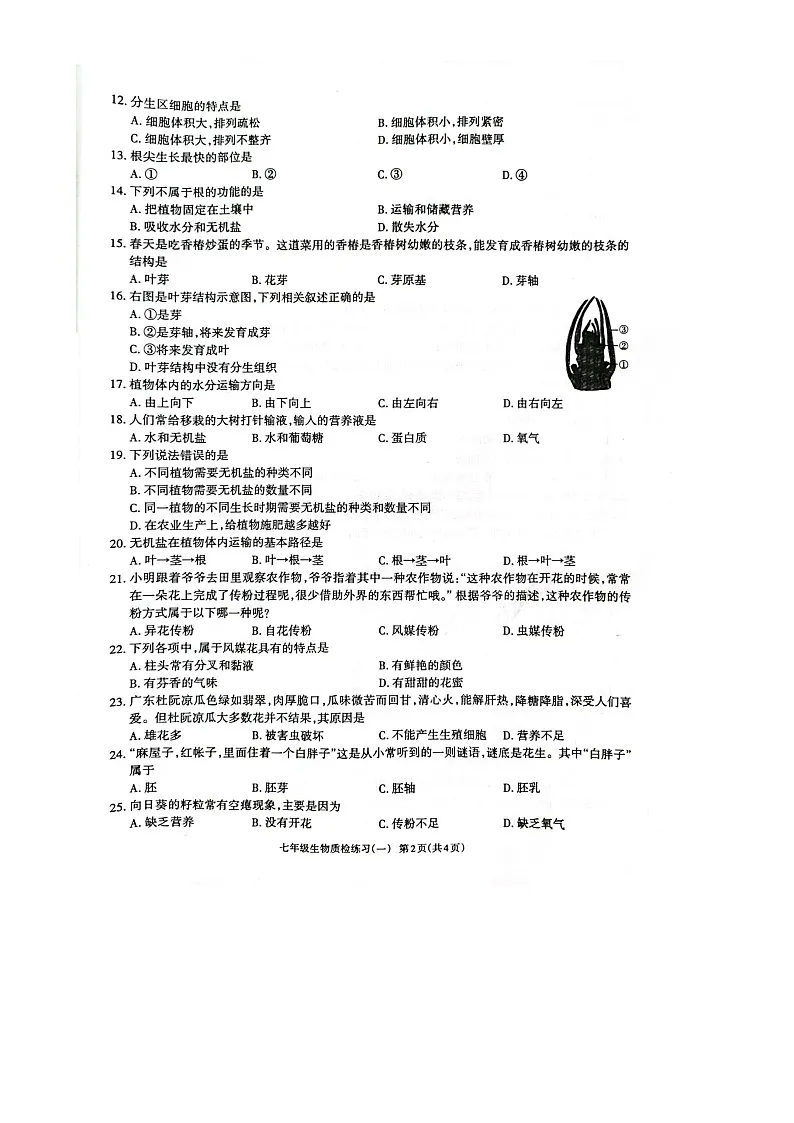 广东茂名市电白区2024-2025学年第二学期七年级生物三月测试卷.d-A4第2页