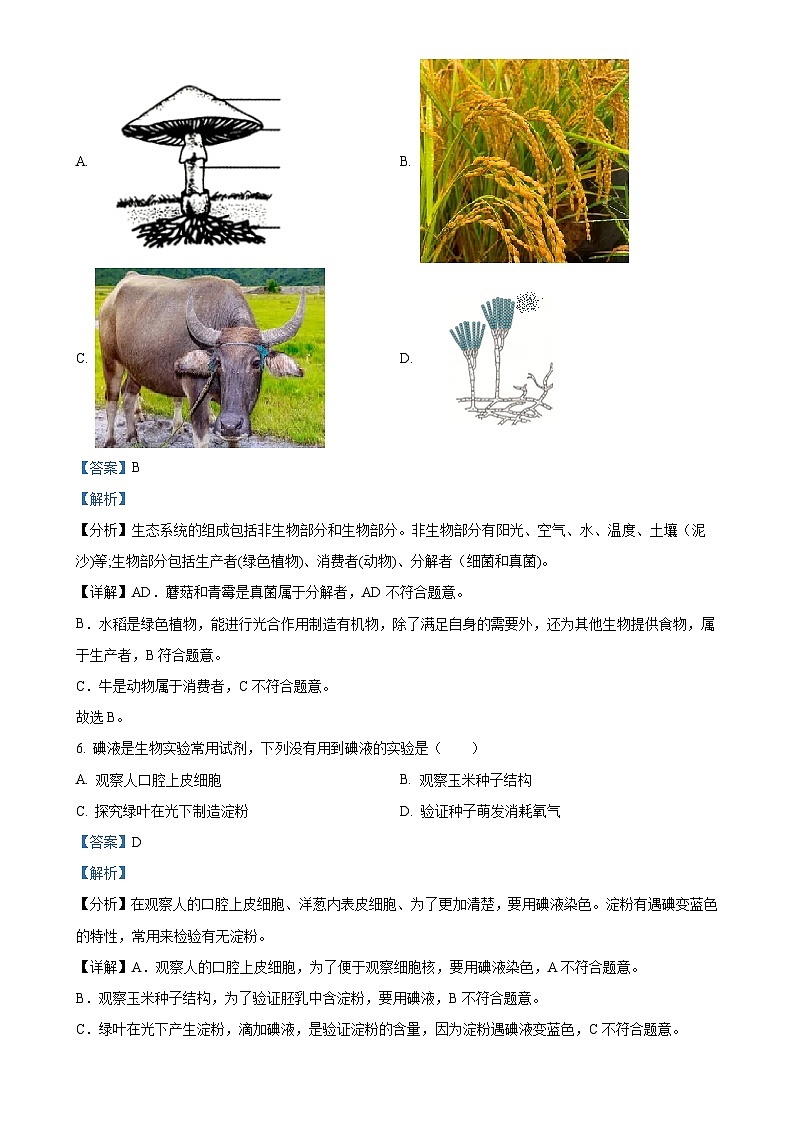 广东省茂名市高州市九校联考2022-2023学年八年级下学期5月月考生物试题（解析版）-A4第3页