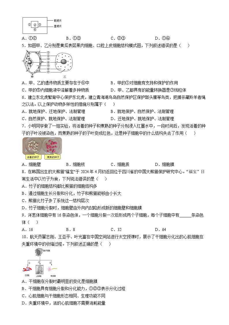广东省肇庆市封开县七年级上学期期末生物试题-A4第2页