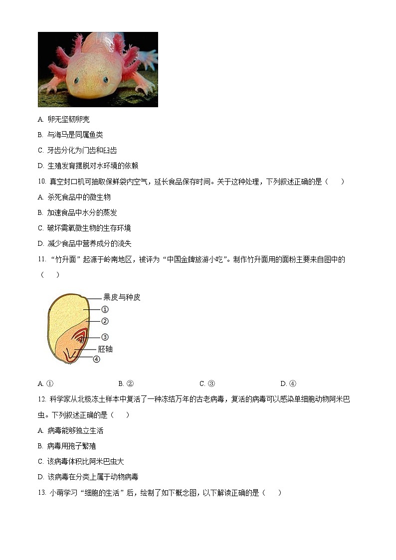广东省佛山市禅城区七年级上学期期末生物试题（原卷版）-A4第3页
