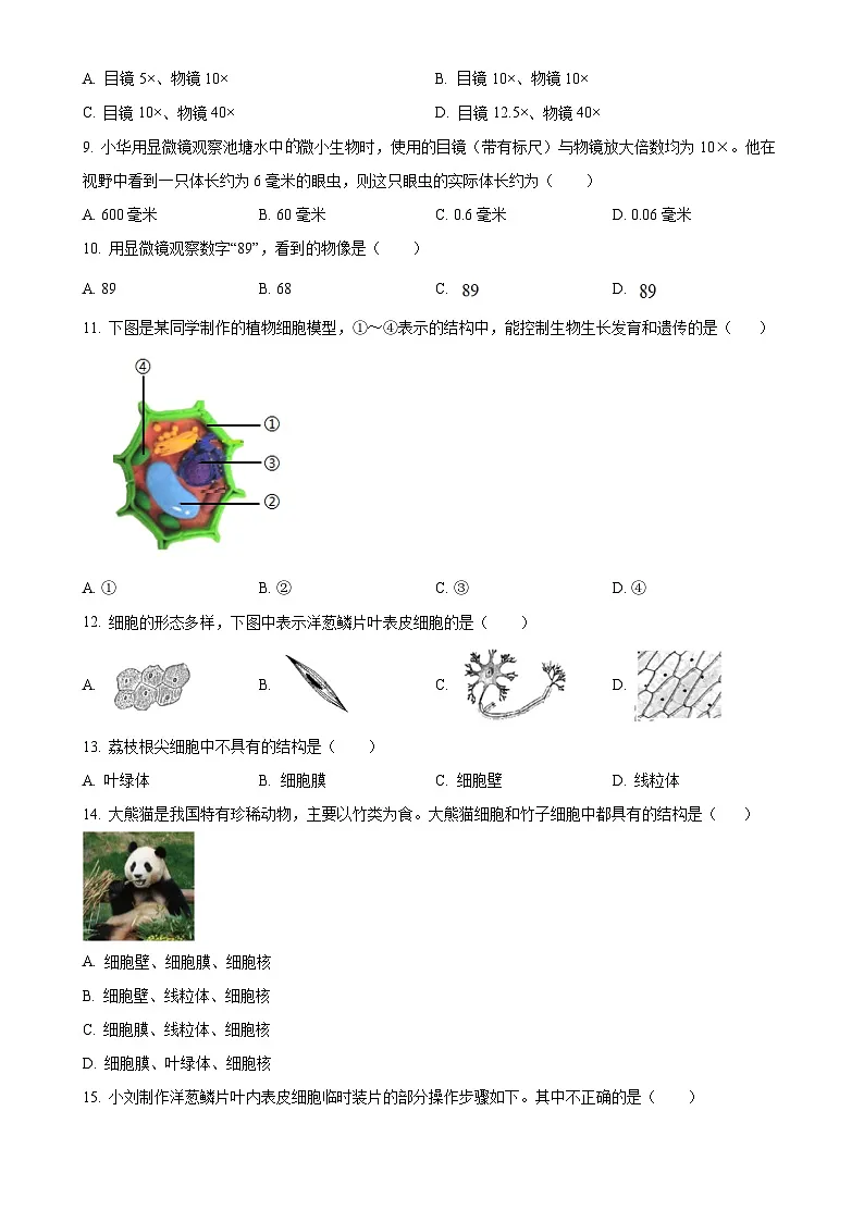 广东省茂名市高州市七年级上学期期中生物学试题（原卷版）-A4第2页