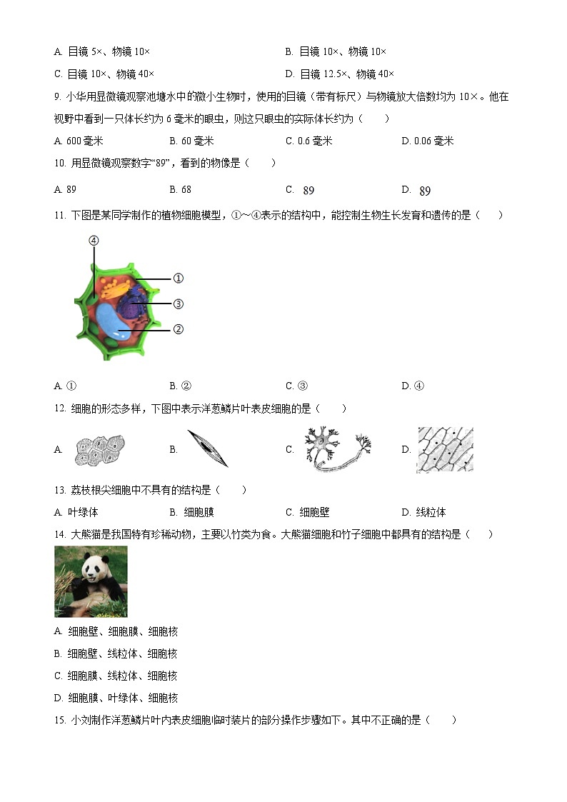 广东省茂名市高州市七年级上学期期中生物学试题（原卷版）-A4第2页