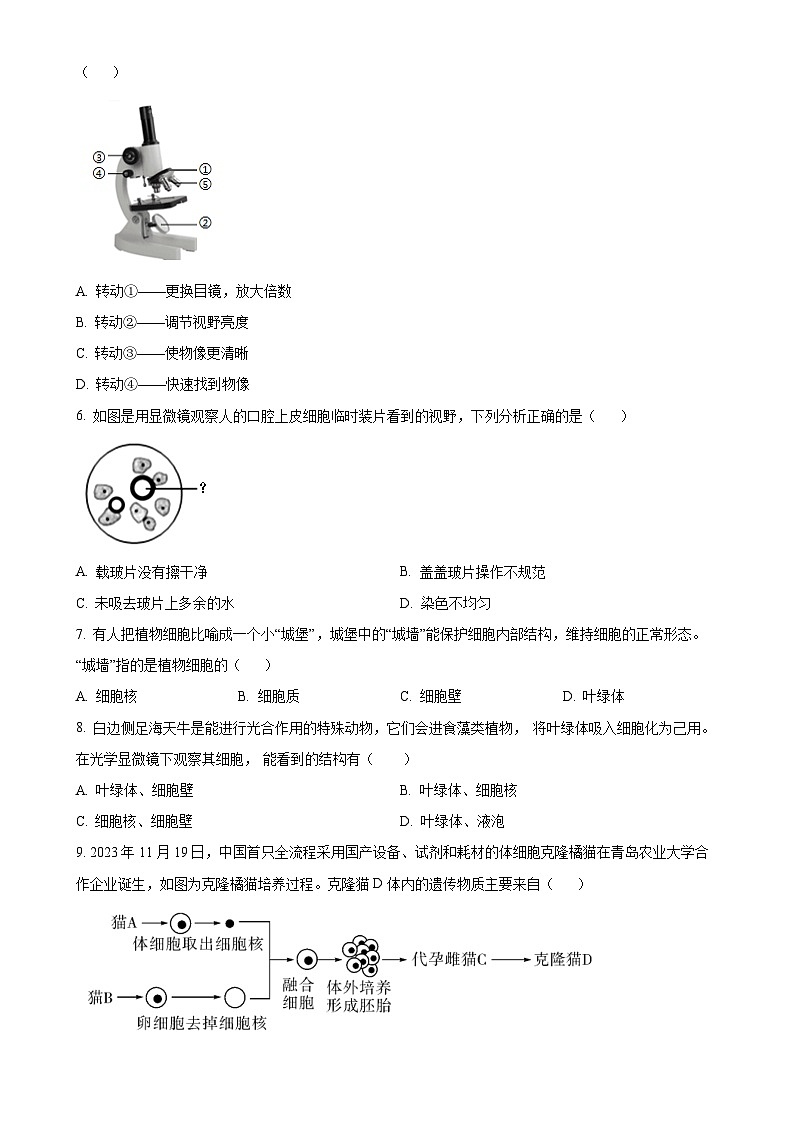 广东省河源市龙川县七年级上学期期末生物试题（原卷版）-A4第2页