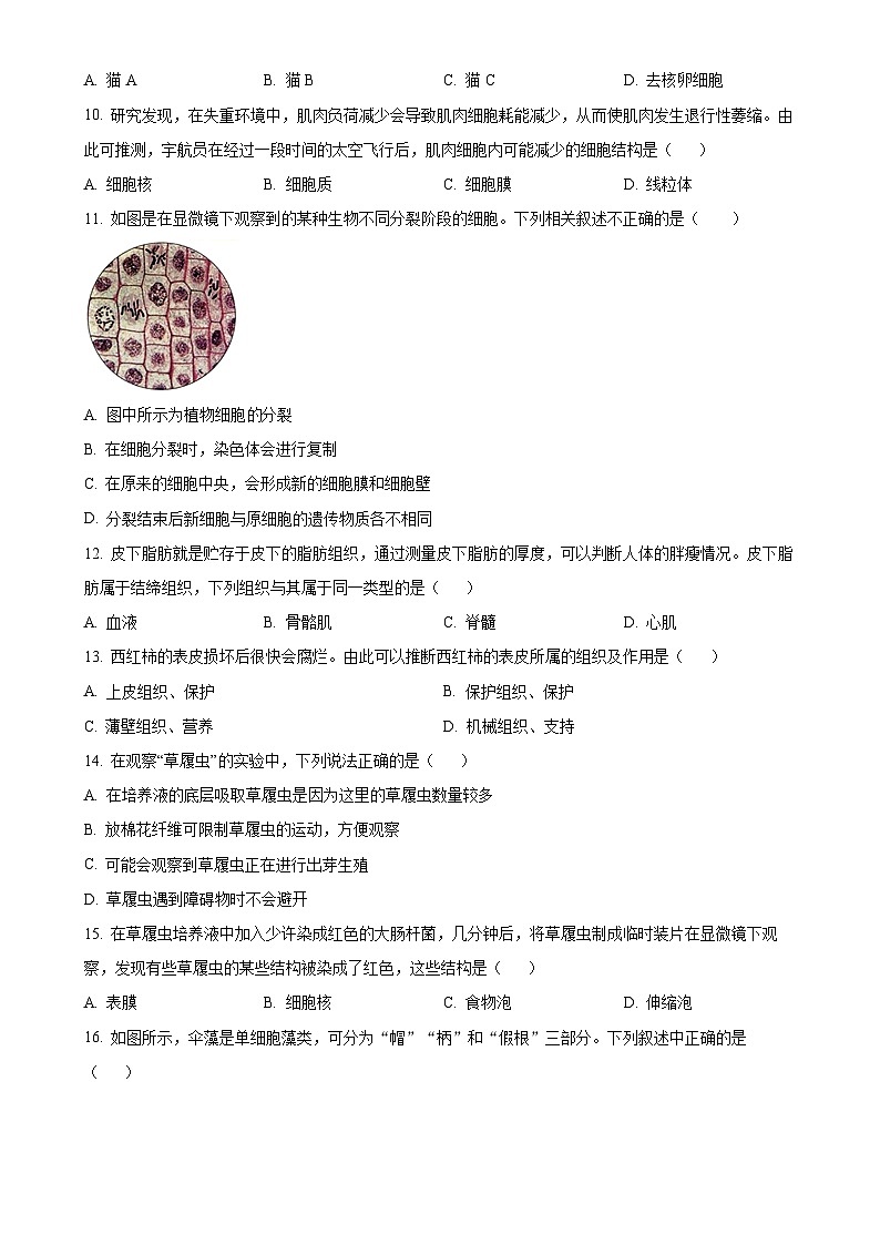 广东省河源市龙川县七年级上学期期末生物试题（原卷版）-A4第3页