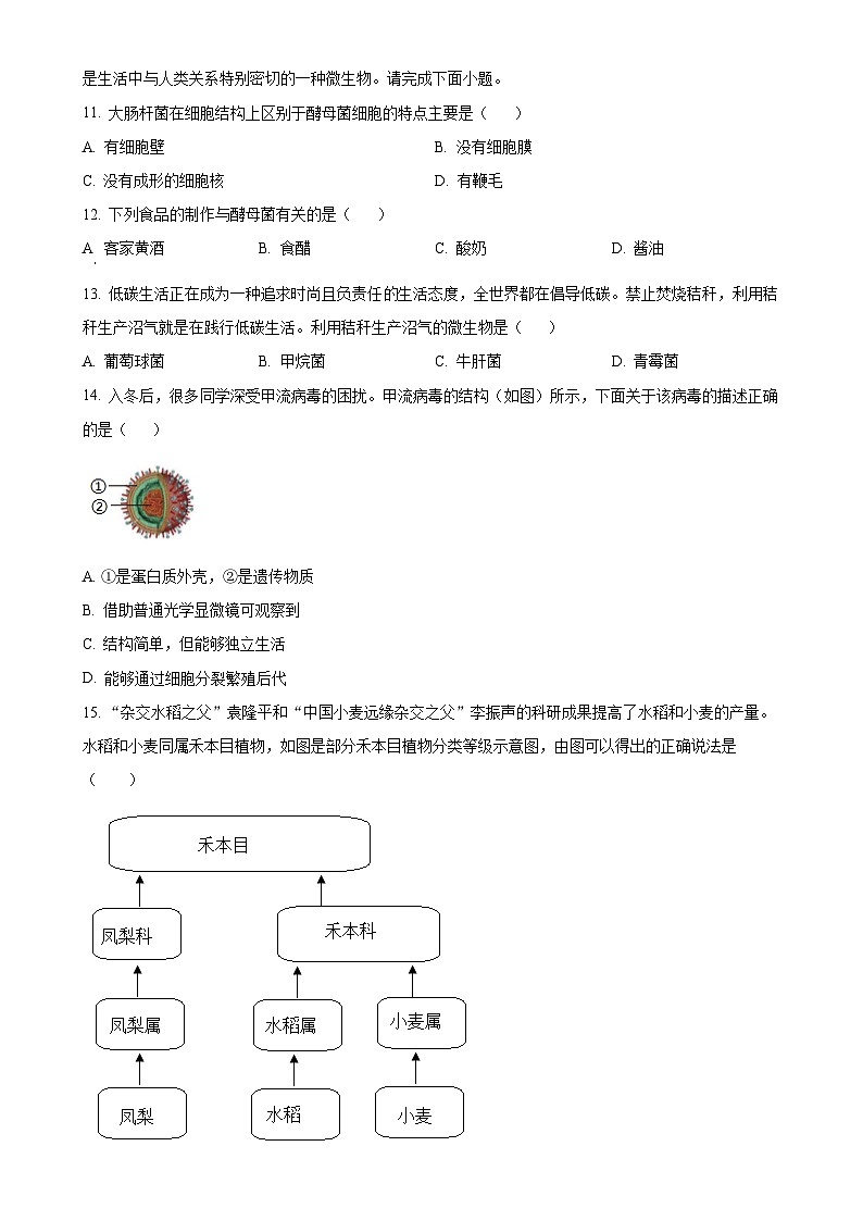 广东省河源市和平县七年级上学期期末生物试题（原卷版）-A4第3页