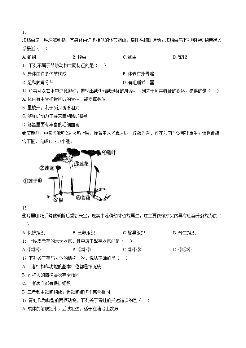 福建省莆田市荔城区2025—2026年度上学期七年级期末质量监测生物学试卷（文字版，含答案）第3页