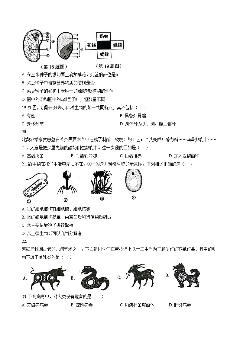 安徽省芜湖市无为市2025_2026学年七年级上学期1月期末考试生物学试卷（文字版，含答案）第3页