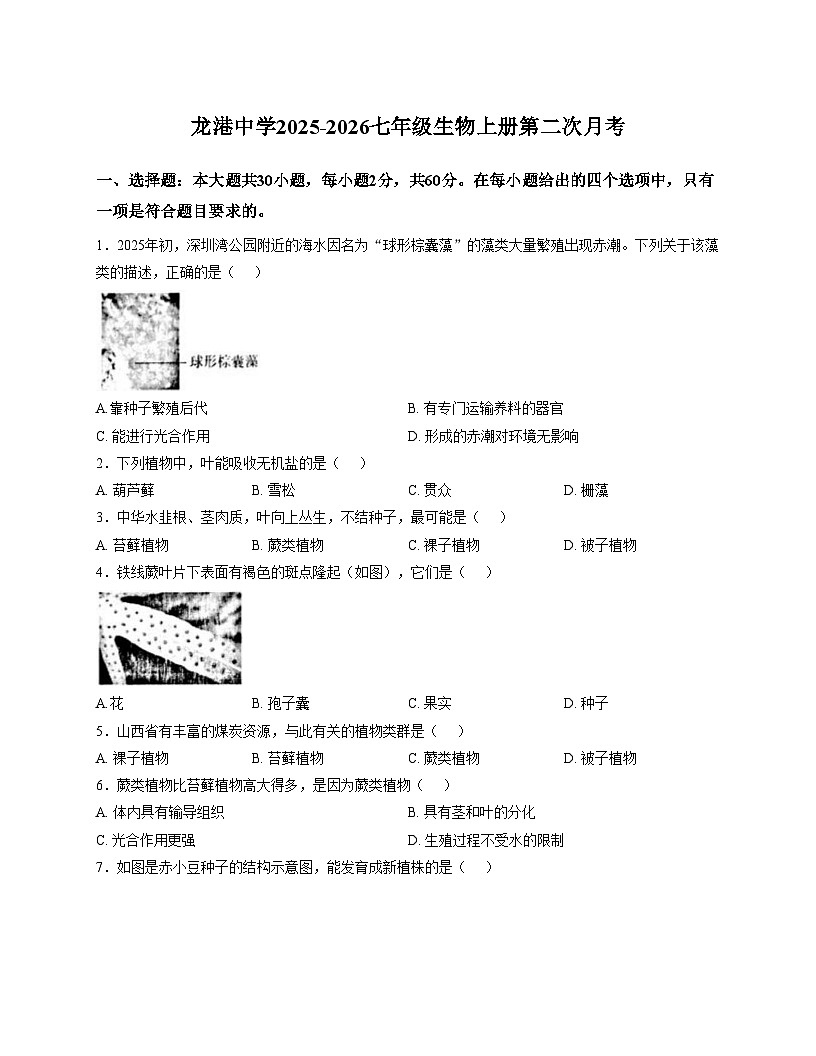广东省汕头市潮阳区龙港初级中学2025_2026学年七年级上学期第二次月考生物试卷(文字版含答案)第1页