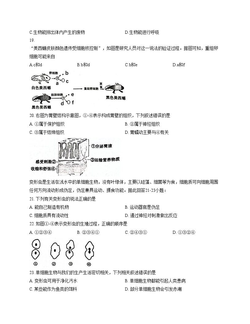 福建省福州市连江县2025_2026学年七年级上学期期中考试生物试卷（文字版，含答案）第3页