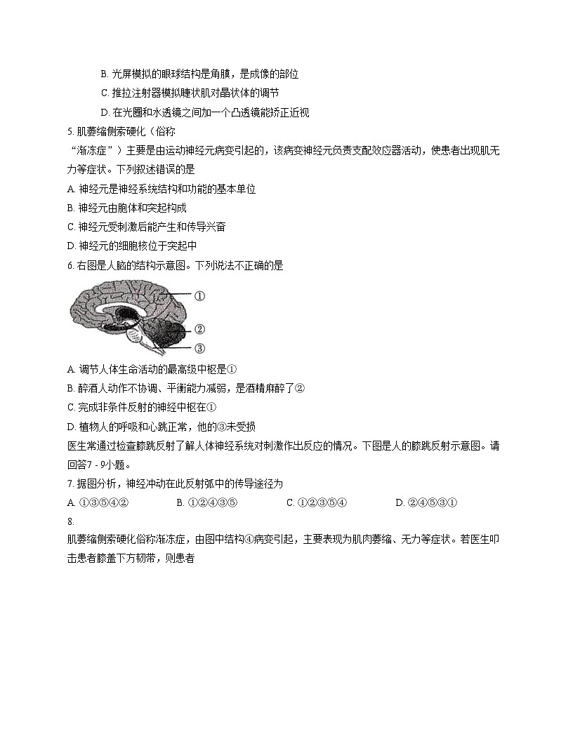 河南省濮阳市2025_2026学年八年级上学期11月期中生物试题（文字版，含答案）第2页