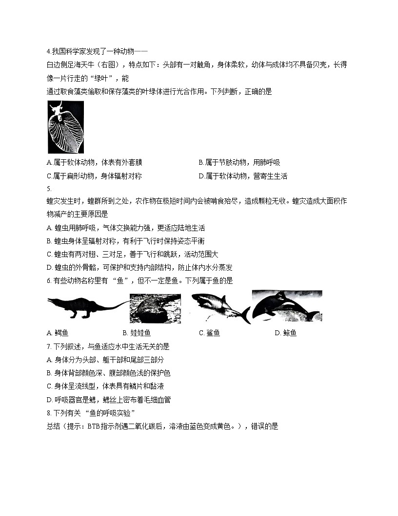 山东省泰安市东平县2025_2026学年八年级上学期生物期中试题（文字版，含答案）第2页
