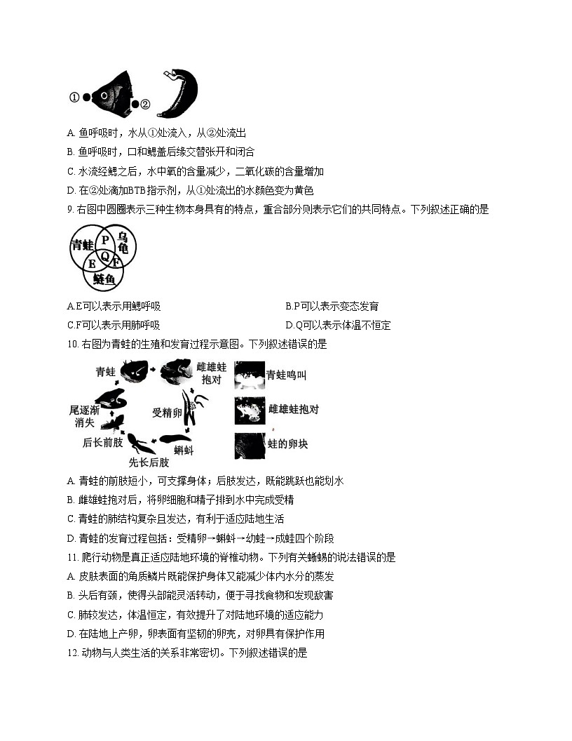 山东省泰安市东平县2025_2026学年八年级上学期生物期中试题（文字版，含答案）第3页