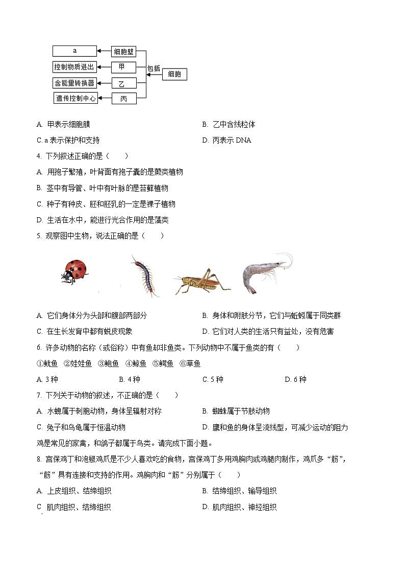 重庆市开州区2025-2026学年七年级上学期期末生物学试题（原卷版+解析版）第2页