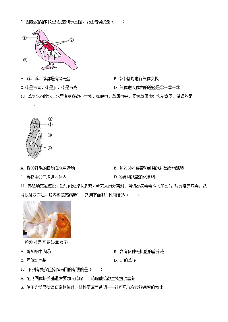 重庆市开州区2025-2026学年七年级上学期期末生物学试题（原卷版+解析版）第3页