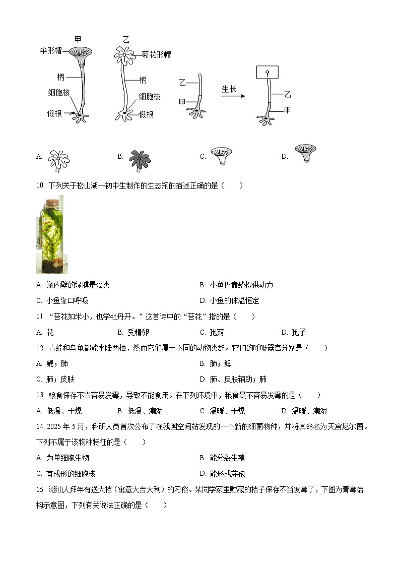 广东省东莞市2025-2026学年七年级上学期期末生物学试题（原卷版+解析版）第3页