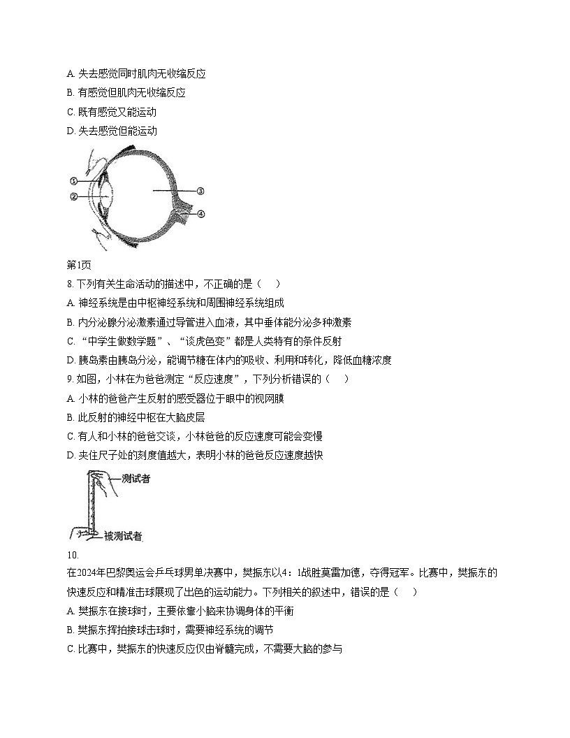 吉林省长春市二道区东北师范大学附属实验学校（经开）2025_2026学年八年级上学期11月期中考试生物试题（文字版，含答案）第2页
